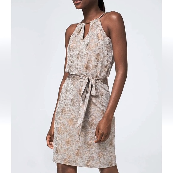 White House Black Market Dresses & Skirts - NWT [White House Black Market] Petite Instant-Style Jersey Knit Dress Sz MP